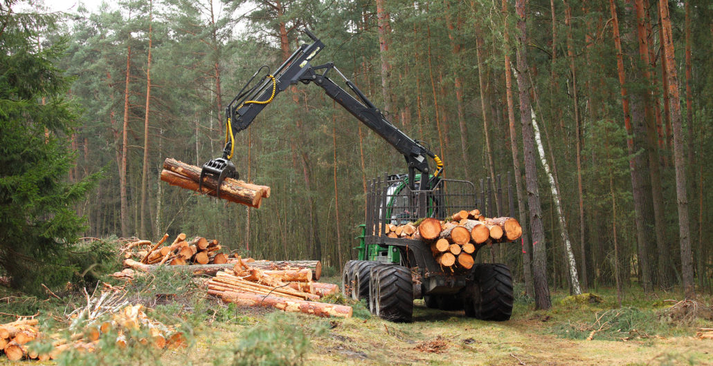 Harvester bei der Waldarbeit