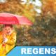 Regenschirme bedrucken